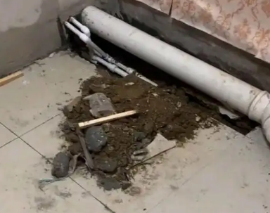 宝应卫生间漏水检测哪家好